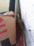 varios
