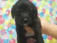 MENINA Nº3