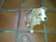 Zaion
