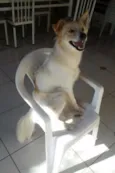 Oliver