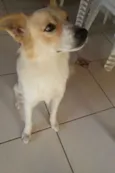 Oliver