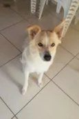 Oliver