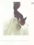 encontrado