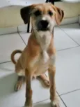 FOFUCHO