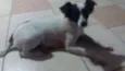 PRETA