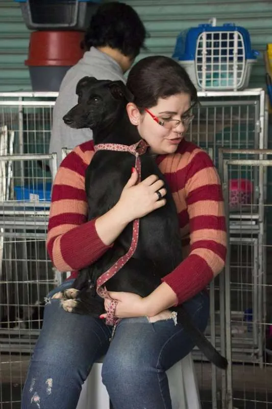 Cachorro ra a SRD idade 1 ano nome Kim