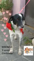 Brenda