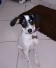 SNOOP