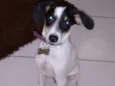 SNOOP