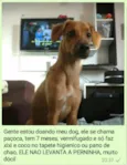 Paçoca a