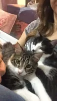 Ver na foto