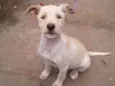 Ainda não tem