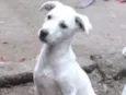 Ainda não tem