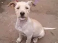 Ainda não tem