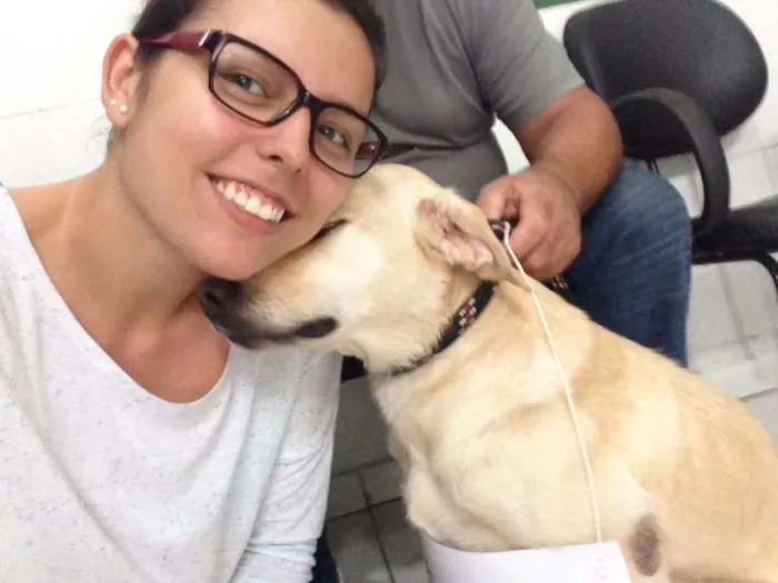 Cachorro ra a SRD idade 4 anos nome Banguela 