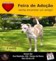 Malhada