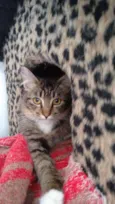Missy
