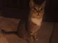 Kiara e cristal