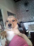 bolinha