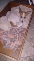Princesa
