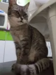 MIMI