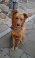MEL