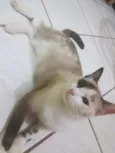 MÃEZINHA