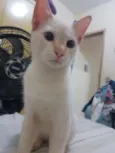 PRÍNCIPE