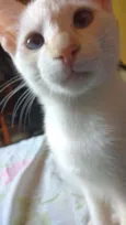 PRÍNCIPE