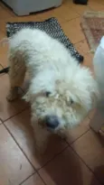 "sujeirinha" não sab