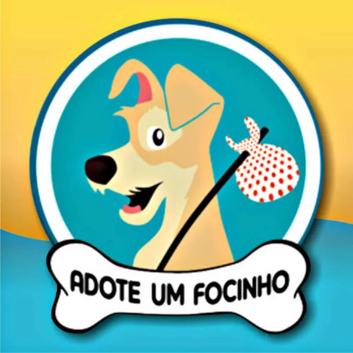 Cachorro ra a vira lata  idade 2 a 6 meses nome pepa,brutos e etc