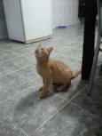 Jhon