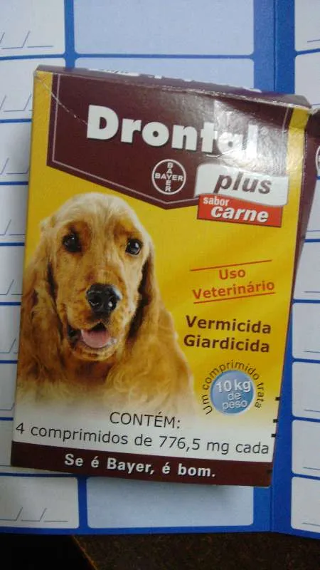 Cachorro ra a SRD idade 2 a 6 meses nome Filhotinhas