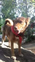 Bebê