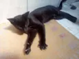 Matias