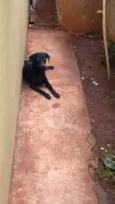 Vitória 