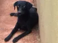 Vitória 