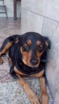 Ben