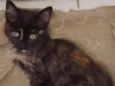 Frida