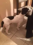 Marley