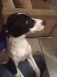 Marley