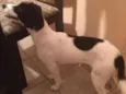 Marley