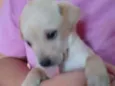 Marley