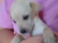 Marley