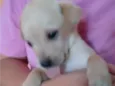 Marley