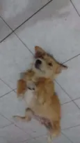 Menina