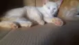Namu
