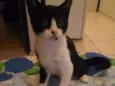 Mel