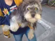 babalu