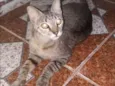 doida linda